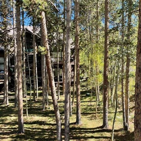 Luxury Modern Townhome Steps To Ski Lifts And Downtown With Nature At Your Patio Брекенридж Экстерьер фото